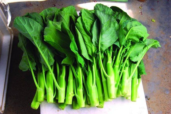 produksi kolagen